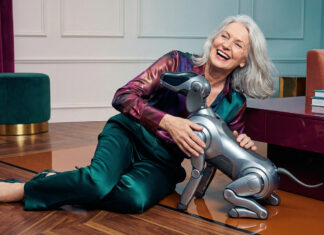 Les animaux de compagnie robotisés accélèrent la guérison des patients atteints de démence