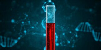 Tube à essai contenant du sang avec ADN et neurones en arrière-plan