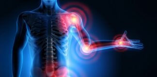 Collagène et articulations : ce que dit vraiment la science
