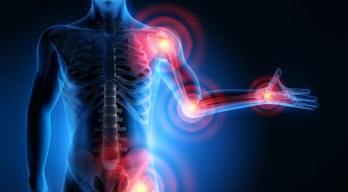 Collagène et articulations : ce que dit vraiment la science