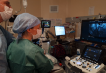 Bâtonnets radioactifs : l’essai français sur le pancréas Pose de bâtonnets radioactifs sous échoendoscopie dans une tumeur du pancréas, en salle d'endoscopie au CHU Grenoble Alpes