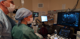 Pose de bâtonnets radioactifs sous échoendoscopie dans une tumeur du pancréas, en salle d'endoscopie au CHU Grenoble Alpes