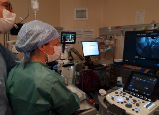 Bâtonnets radioactifs : l’essai français sur le pancréas Pose de bâtonnets radioactifs sous échoendoscopie dans une tumeur du pancréas, en salle d'endoscopie au CHU Grenoble Alpes